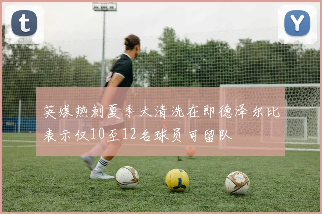 英媒热刺夏季大清洗在即德泽尔比表示仅10至12名球员可留队