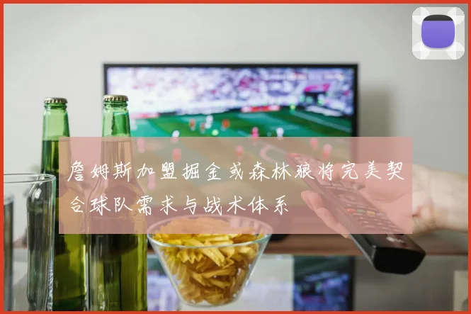 詹姆斯加盟掘金或森林狼将完美契合球队需求与战术体系
